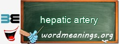 WordMeaning blackboard for hepatic artery